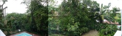 Caldecott Hill Estate (D11), Detached #200339892